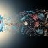 免疫系统衰老存在性别差异：单细胞分析揭示男性与女性的不同轨迹
