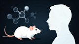 Nature Aging评论：临床前衰老研究需要更务实的方法