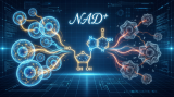 NAD+
