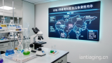 细胞内核苷酸错位：一种被忽视的衰老驱动机制