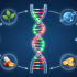 Peter Attia 深度解读：PCSK9 基因编辑 VERVE-102 能终结动脉粥样硬化吗？