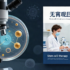 免疫系统为什么「清不动」衰老细胞了？免疫监视失灵，可能是比 senolytics 更根本的问题