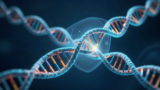 热量限制减慢全身突变累积：《Cell》首个全基因组证据，与一个未解的因果