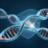 细胞衰老的新开关：几乎无人研究的蛋白 PTCHD4，《Aging Cell》把它指向 AKT