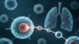 细胞衰老的新开关：几乎无人研究的蛋白 PTCHD4，《Aging Cell》把它指向 AKT
