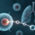 衰老细胞没有统一标签：《Nature Aging》只找到一条跨组织守恒的脂质指纹