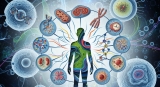 衰老生物学十大机制与理论全景图
