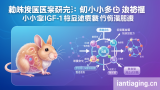 评估候选IGF-1受体抑制剂：能否适度延缓小鼠衰老？